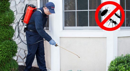 Ulukent Kemirgen İlaçlama böcek ilaçlama ve haşere kontrolü — ilaclama-tr.com